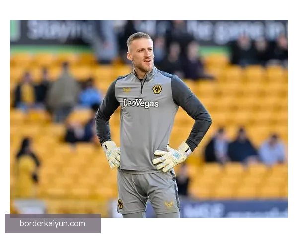 狼队关键球员状态回暖，近期表现稳健备受关注