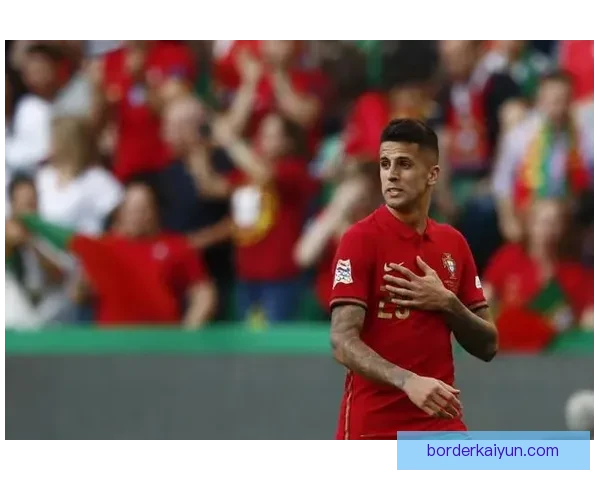 坎塞洛职业轨迹回顾：从葡萄牙崭露头角到大牌球队的稳定表现